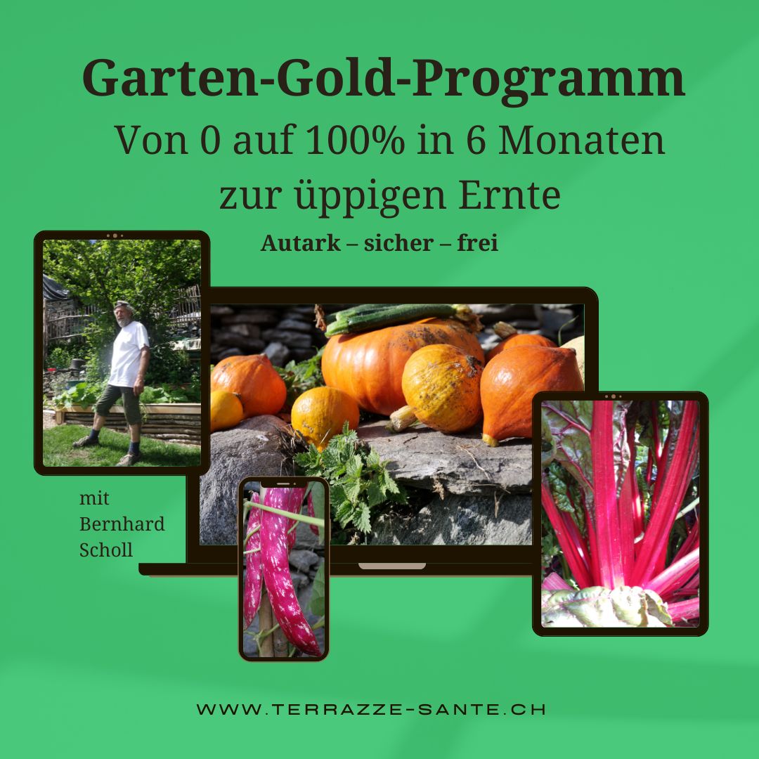 Gartencoaching, Garten-Mentor